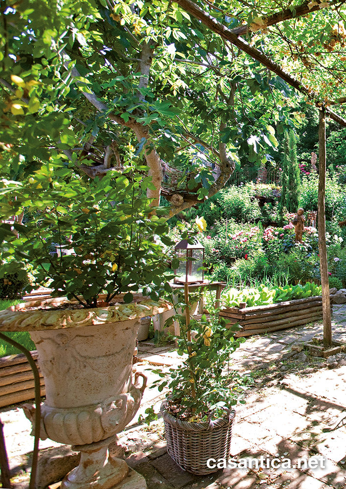 anfora giardino antico