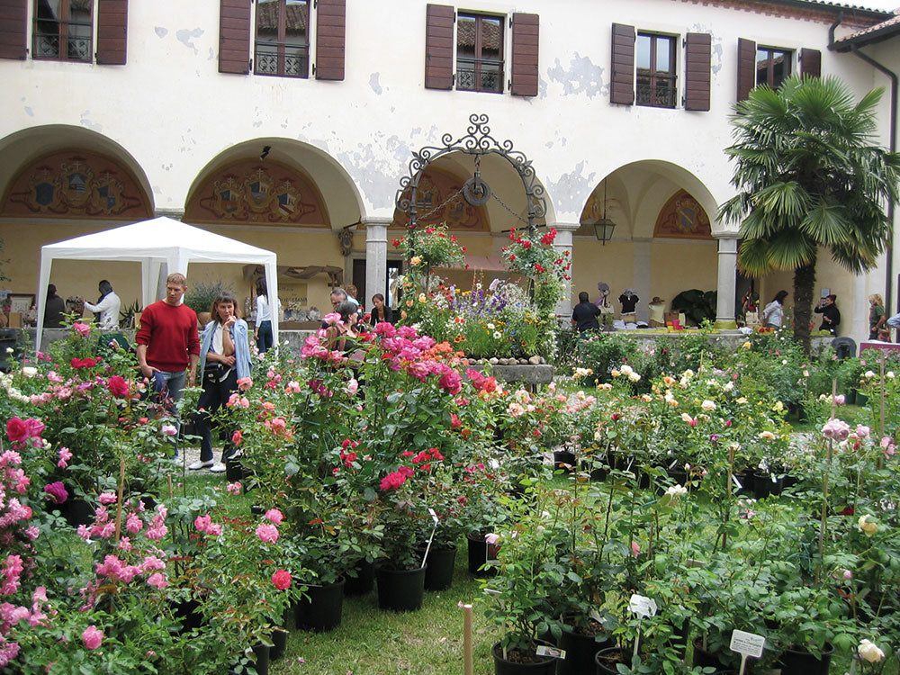 Rosazzo da Rosa, XV edizione della mostra floro-vivaistica in Abbazia
